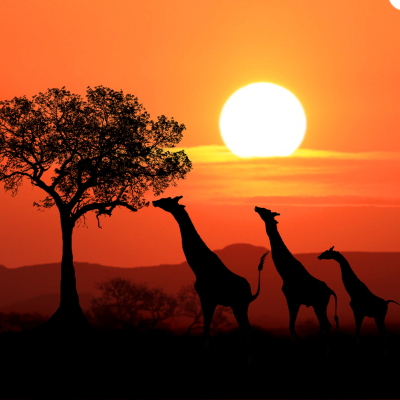 3 recorridos increíbles por Africa